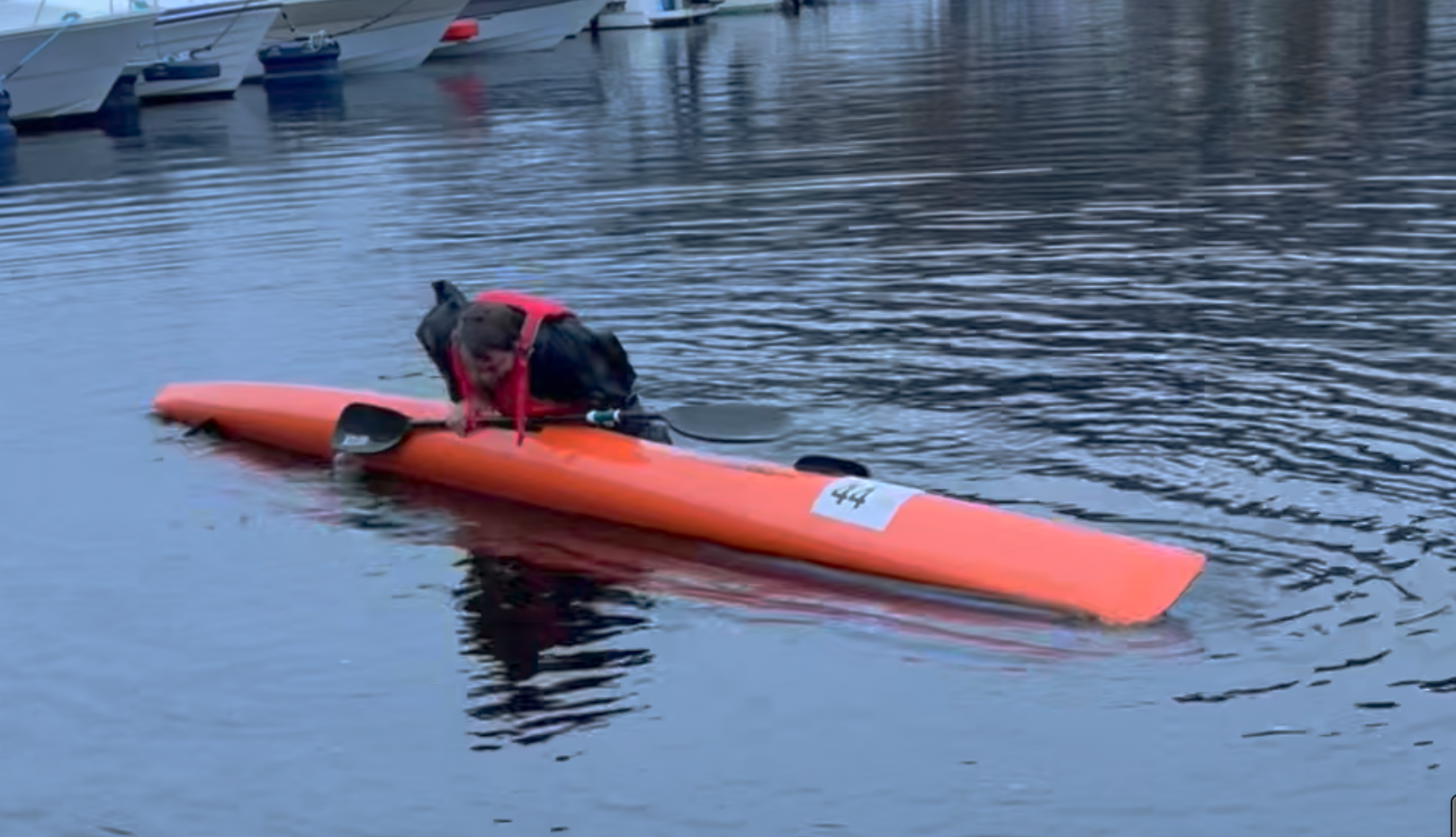 Introkurs surfski og DW til Salhus